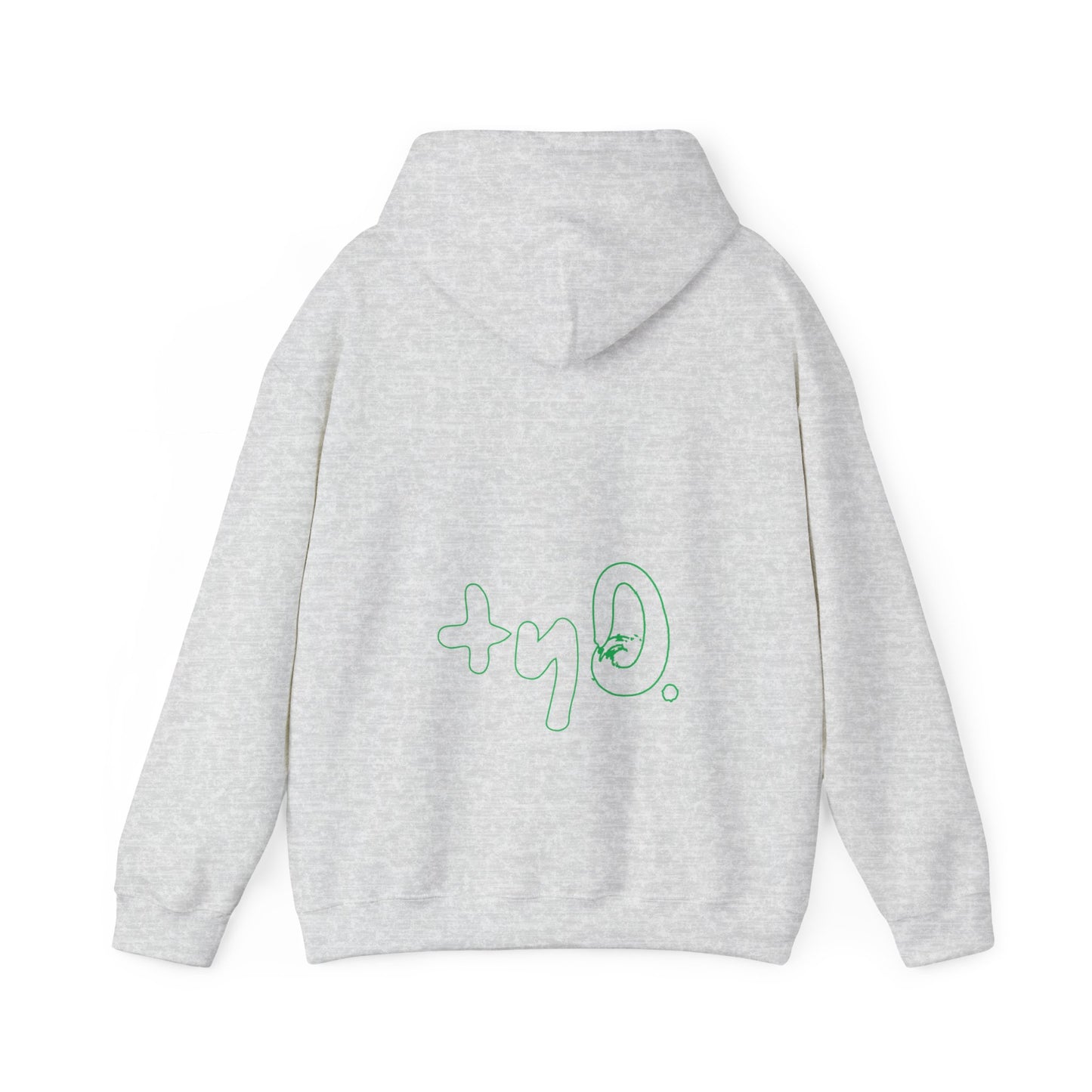 Go with the Flo Hoodie I Ash