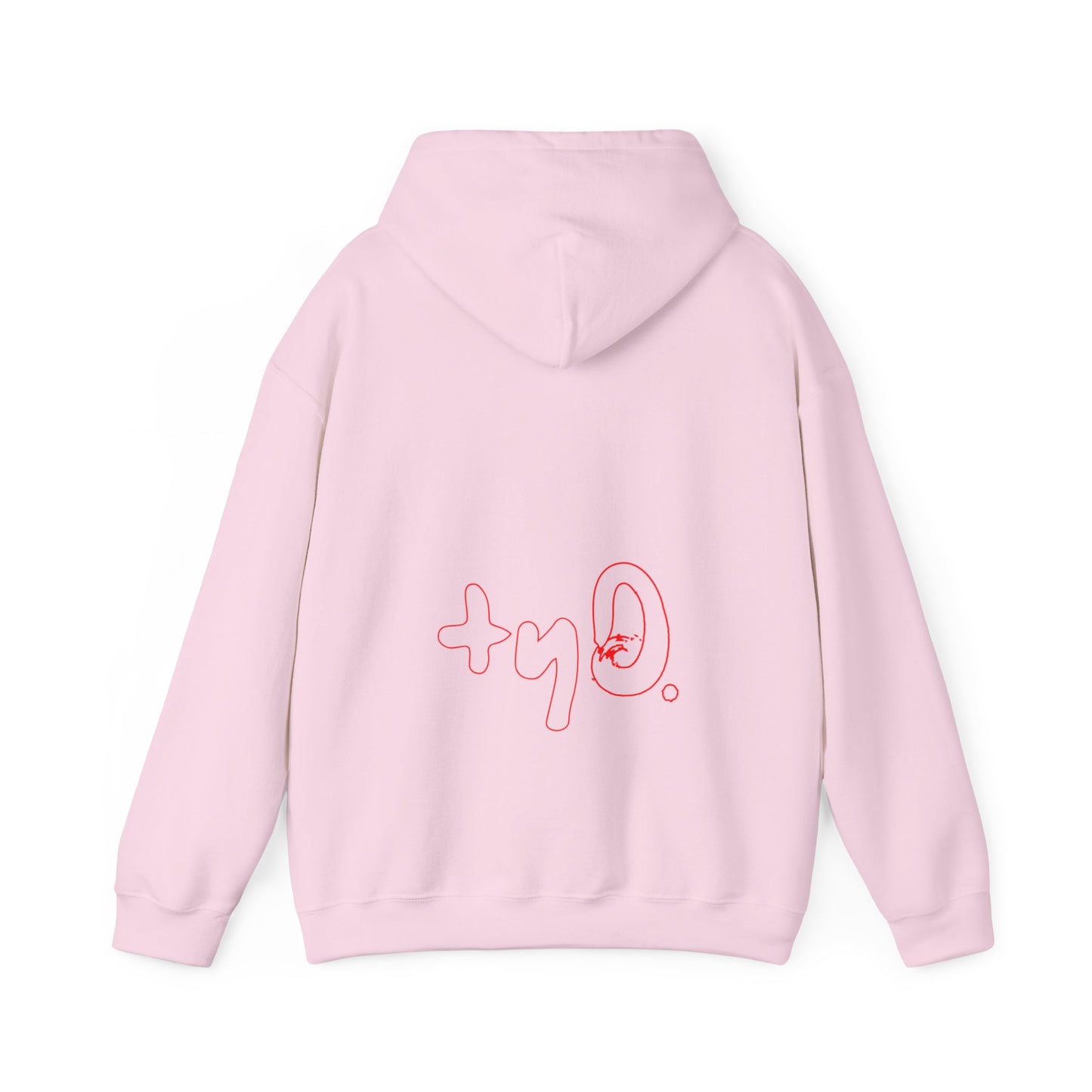 Go with the Flo Hoodie I Pink