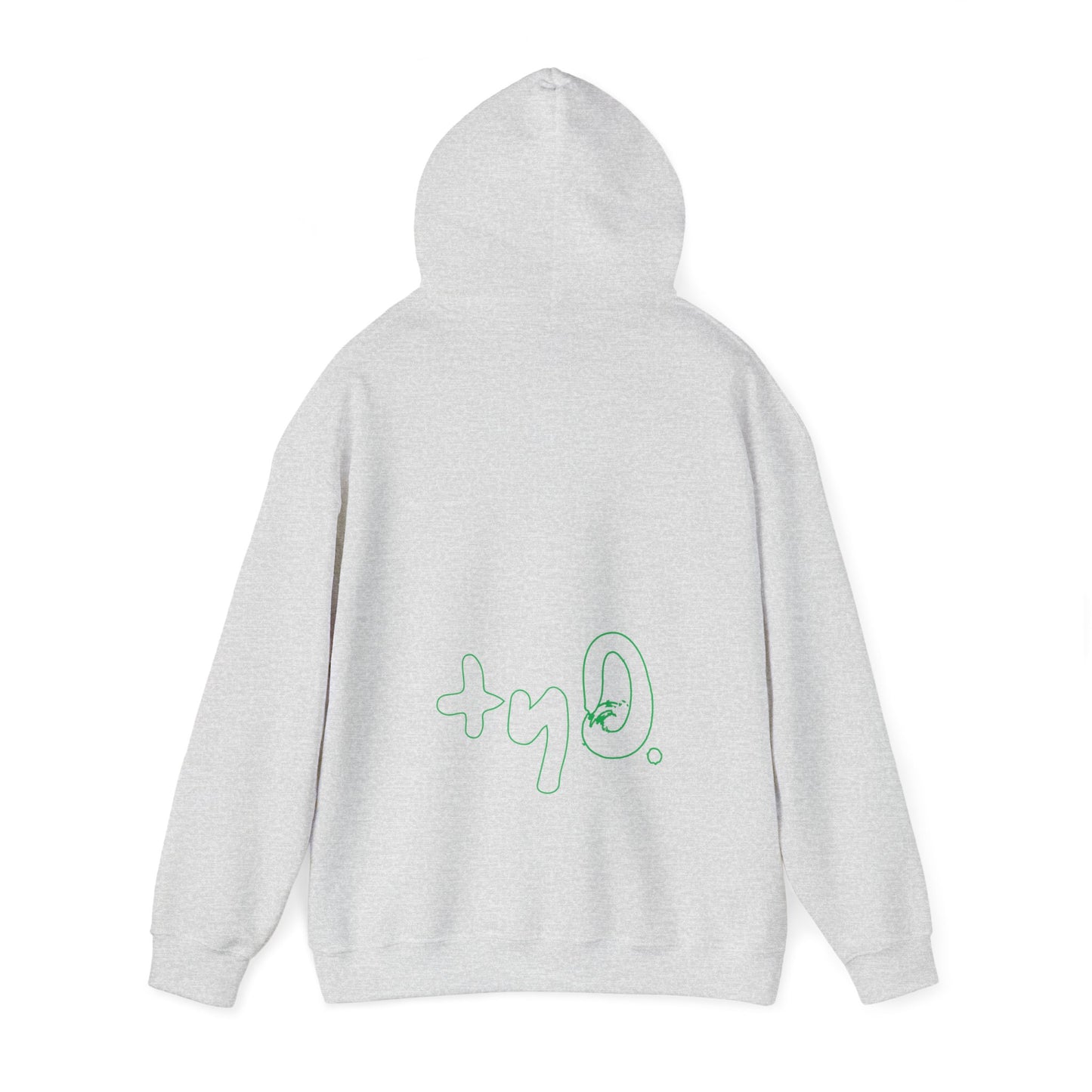 Go with the Flo Hoodie I Ash