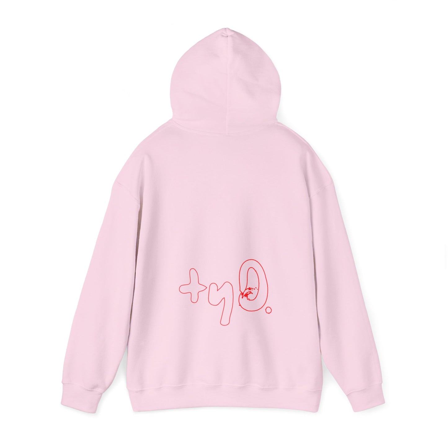 Go with the Flo Hoodie I Pink